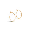 ENAMEL Copenhagen Hoops, Organic Arena Medium Earrings 925S/GP/M